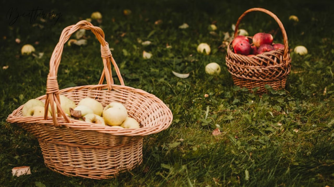 Apple Orchard Collection: Transform Your Home Interiors with Rustic Elegance