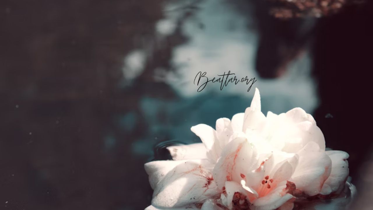 Read Tears on a Withered Flower Chapter 21: A Heartfelt Turning Point