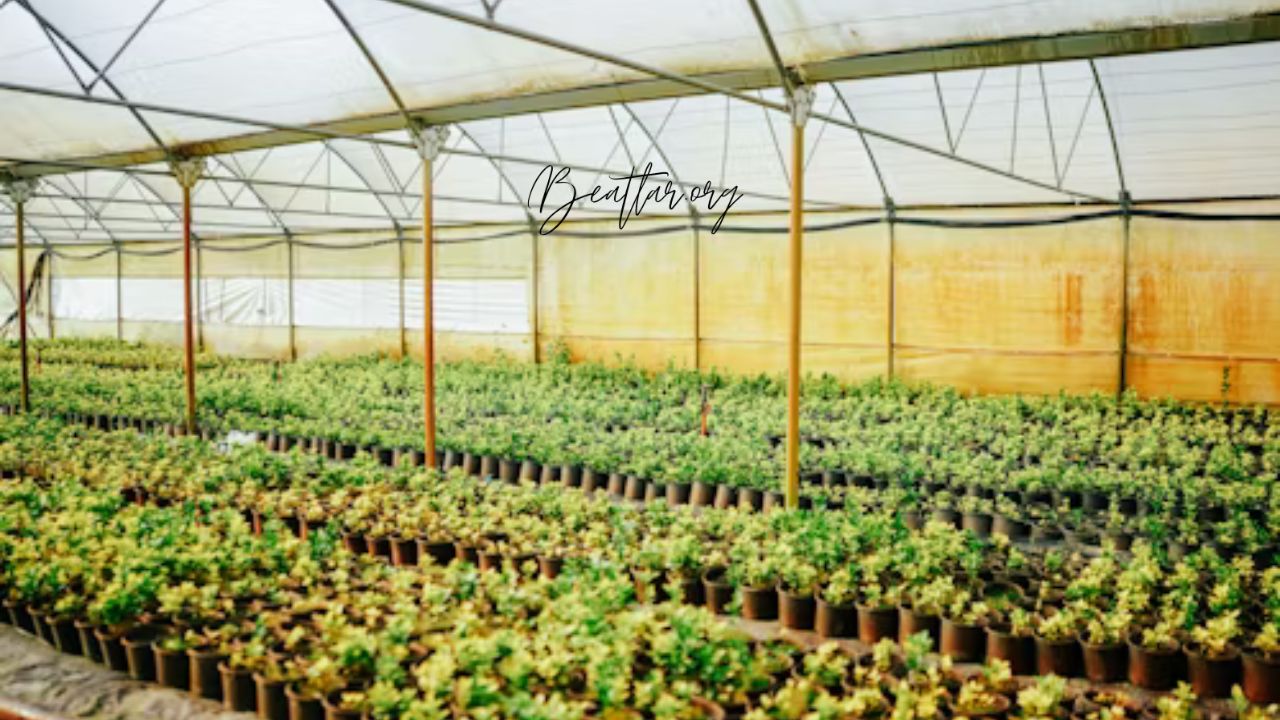 Zoetic Global Youngstown Plant: Revolutionizing Sustainable Energy Solutions
