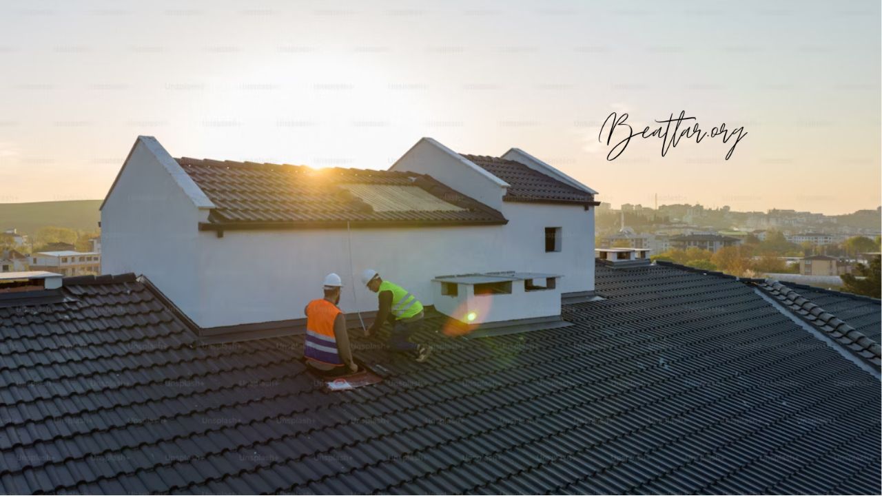Clavos para Roofing: The Complete Guide to Choosing the Best 1 Clavos para Roofing: The Complete Guide to Choosing the Best